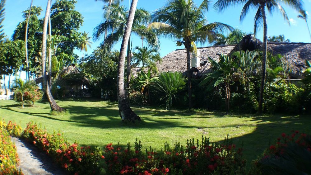 Villa Chiara Las Terrenas Extérieur photo